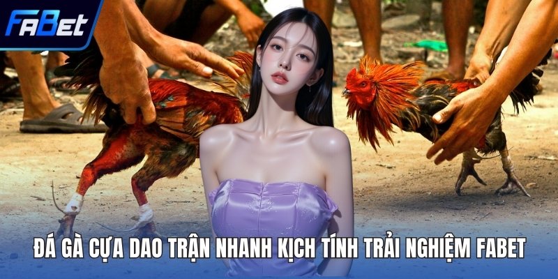 Đá gà cựa dao
